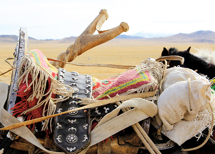 Peppermynta-Beshlie-McKelvie-Pferd