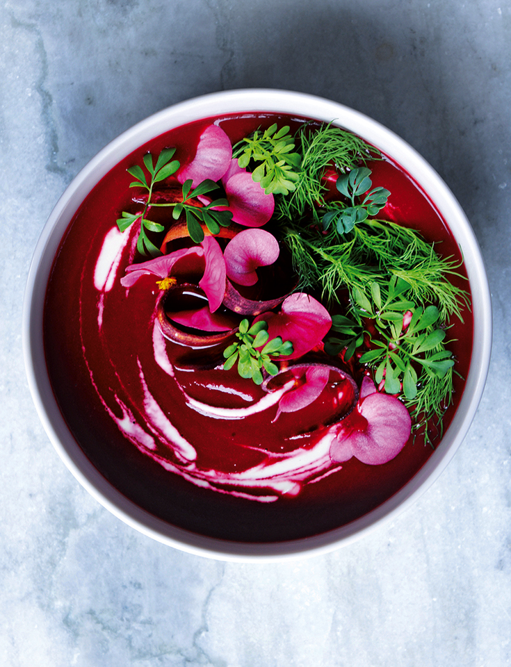 Eco lifestyle, Eko Lifestyle und grün leben: The Mix – Liora Bels im Interview