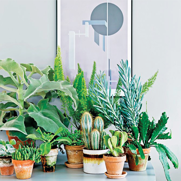 Peppermynta-Eco-Lifestyle-Family-Love-Tree_2