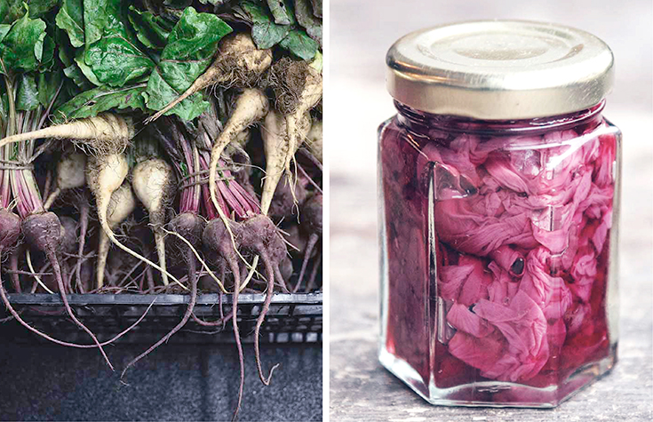 Peppermynta-Eco-Lifestyle-Silo-Restaurant-Zero-Waste_8