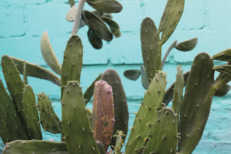 Peppermynta-Fair-Fashion-Choclo-Project_3