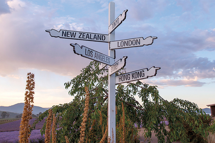 Peppermynta-Lavendel-Farm-Neuseeland-Bridgestowe_3