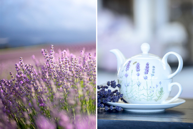 Peppermynta-Lavendel-Farm-Neuseeland-Bridgestowe_6