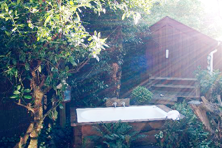 Peppermynta-Lavendel-Kaikoura-Lavender-Farm-Neuseeland_1