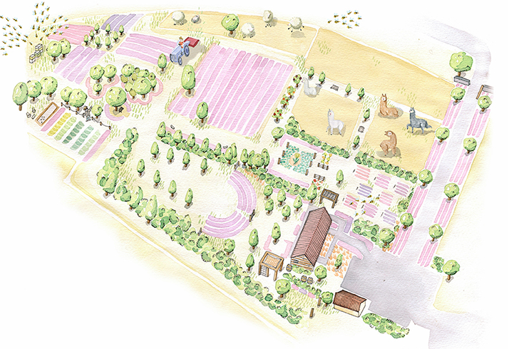 Peppermynta-Lavendel-Wanaka-Lavender-Farm-Neuseeland_2