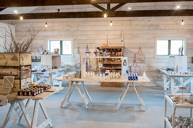 Peppermynta-Lavendel-Wanaka-Lavender-Farm-Neuseeland_3