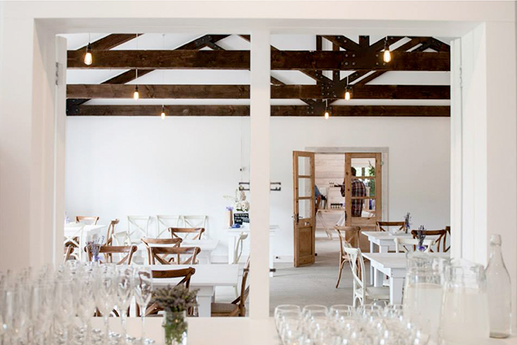 Peppermynta-Lavendel-Wanaka-Lavender-Farm-Neuseeland_4