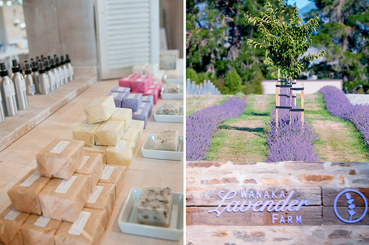 Peppermynta-Lavendel-Wanaka-Lavender-Farm-Neuseeland_5