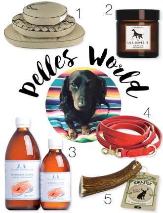 Eco Produkte für den Hund