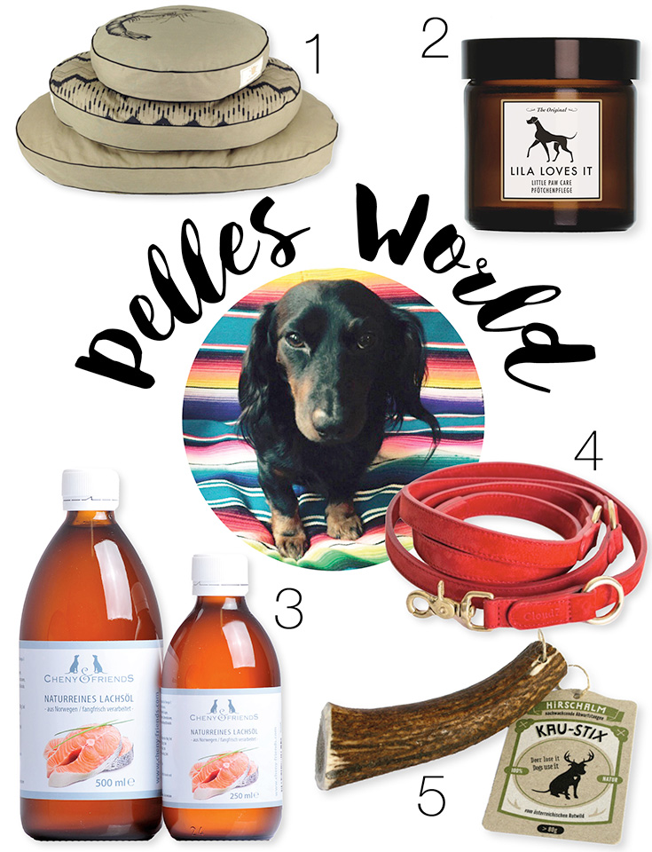 Eco Produkte für den Hund