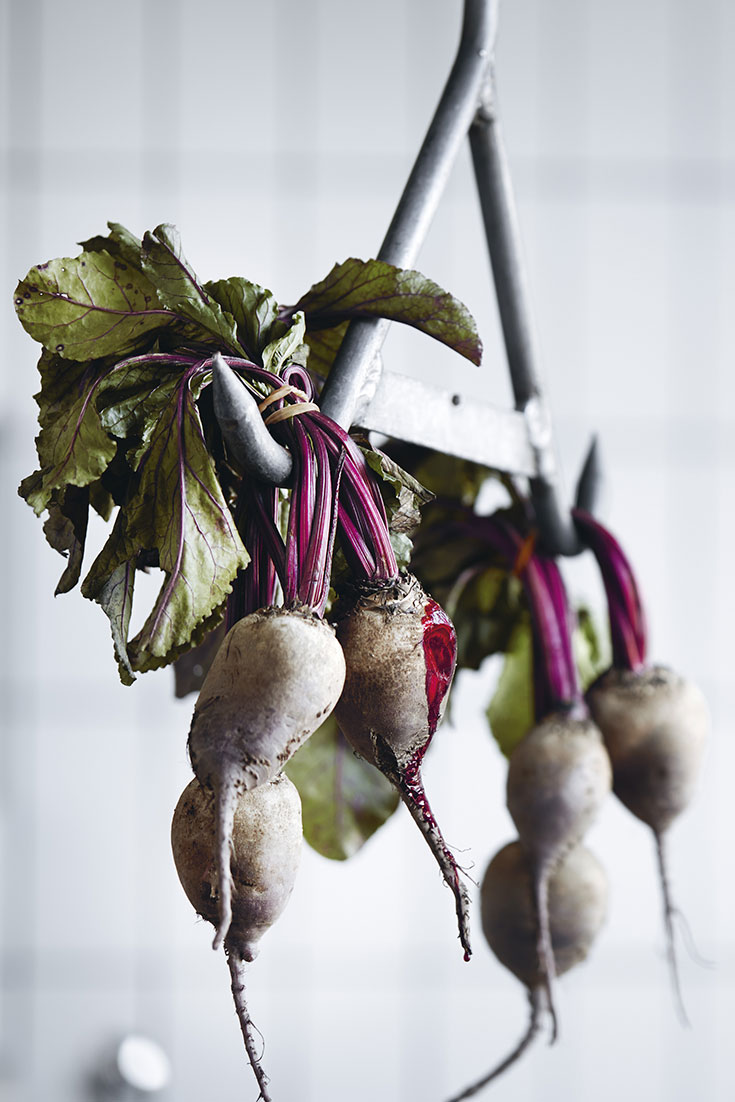 Eco-Lifestyle-Hiltl-Meat-the-Green-Kochen-Kochbuch-Verlosung-Gewinnspiel-rote-Beete