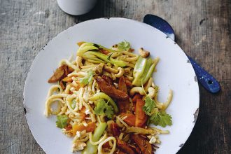 Eco-Lifestyle-Kochbuch-Rezept-Meat-the-Green-Hiltl-vegetarisches-Entenfilet-Teryaki-Udon-Nudeln
