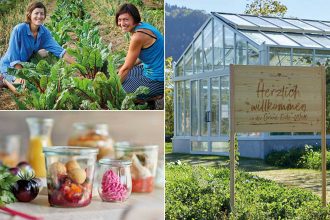 Ausflug in die Grüne Erde-Welt – Der ökologische Veranstaltungskalender