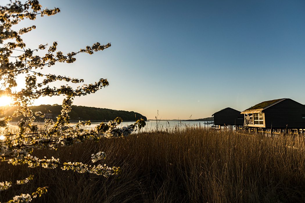 Pfahlhaus Suiten "Im Jaich" auf Rügen – Malediven-Urlaub in Deutschland