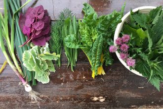 Cum Natura Permakultur – die ökologischste Landwirtschaft von morgen? Im Einklang mit der Natur, keine Monokultur