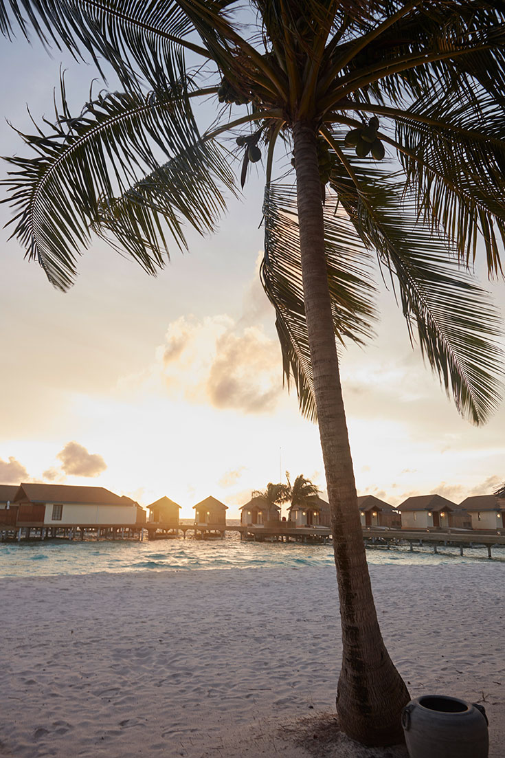 Eco-Lifestyle-Reethi-Faru-Resort-Malediven-Green-Pearls-nachhaltiges-Reisen