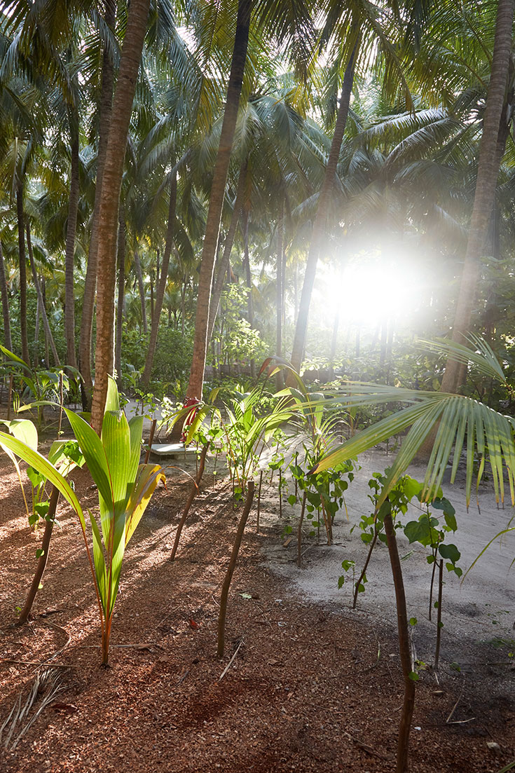 Eco-Lifestyle-Reethi-Faru-Resort-Malediven-Green-Pearls-nachhaltiges-Reisen