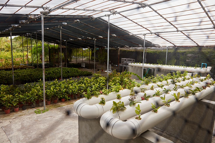 Eco-Lifestyle-Reethi-Faru-Resort-Malediven-Green-Pearls-nachhaltiges-Reisen