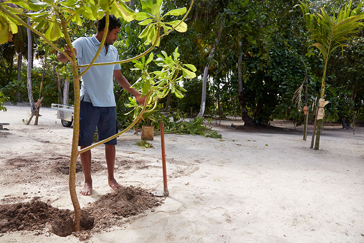 Eco-Lifestyle-Reethi-Faru-Resort-Malediven-Green-Pearls-nachhaltiges-Reisen