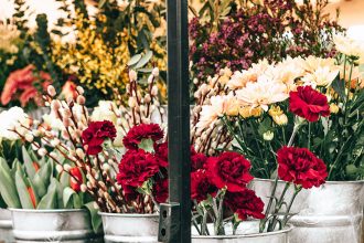 Bloomgerie – regionale und nachhaltige Blumen ohne Pestizide: öko, bio, fairtrade