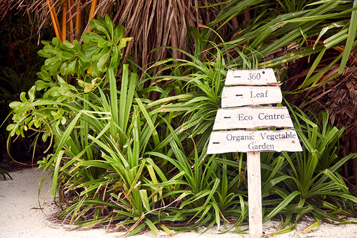 Peppermynta-Peppermint-Eco-Lifestyle-Gili-Lankanfushi-Malediven-Öko-Luxus-Resort-nachhaltig-reisen