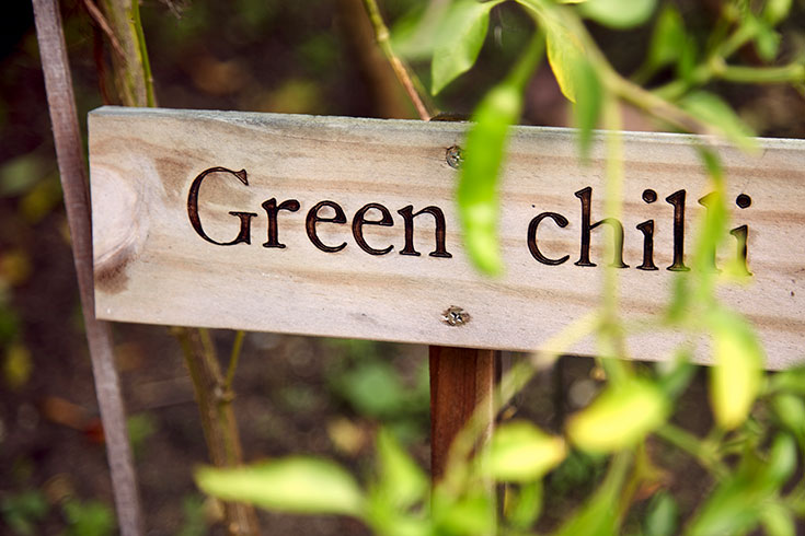 Peppermynta-Peppermint-Eco-Lifestyle-Gili-Lankanfushi-Malediven-Öko-Luxus-Resort-nachhaltig-reisen