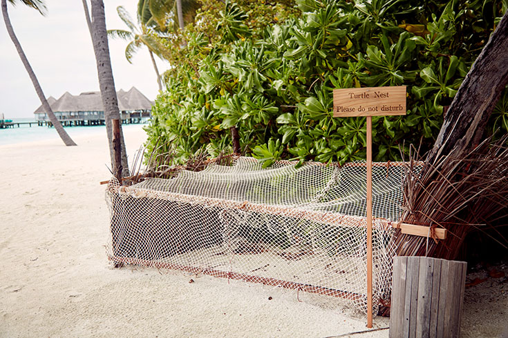 Peppermynta-Peppermint-Eco-Lifestyle-Gili-Lankanfushi-Malediven-Öko-Luxus-Resort-nachhaltig-reisen