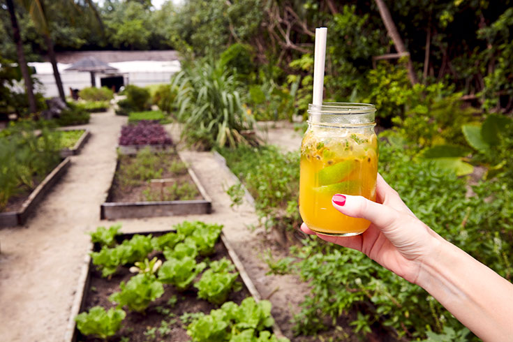 Peppermynta-Peppermint-Eco-Lifestyle-Gili-Lankanfushi-Malediven-Öko-Luxus-Resort-nachhaltig-reisen