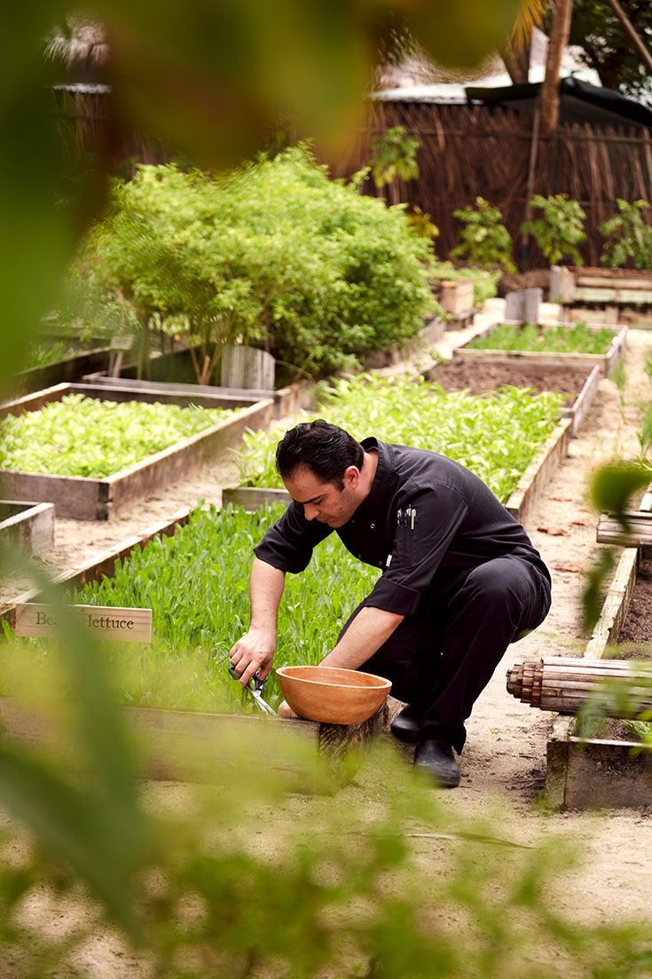 Peppermynta-Peppermint-Eco-Lifestyle-Gili-Lankanfushi-Malediven-Öko-Luxus-Resort-nachhaltig-reisen