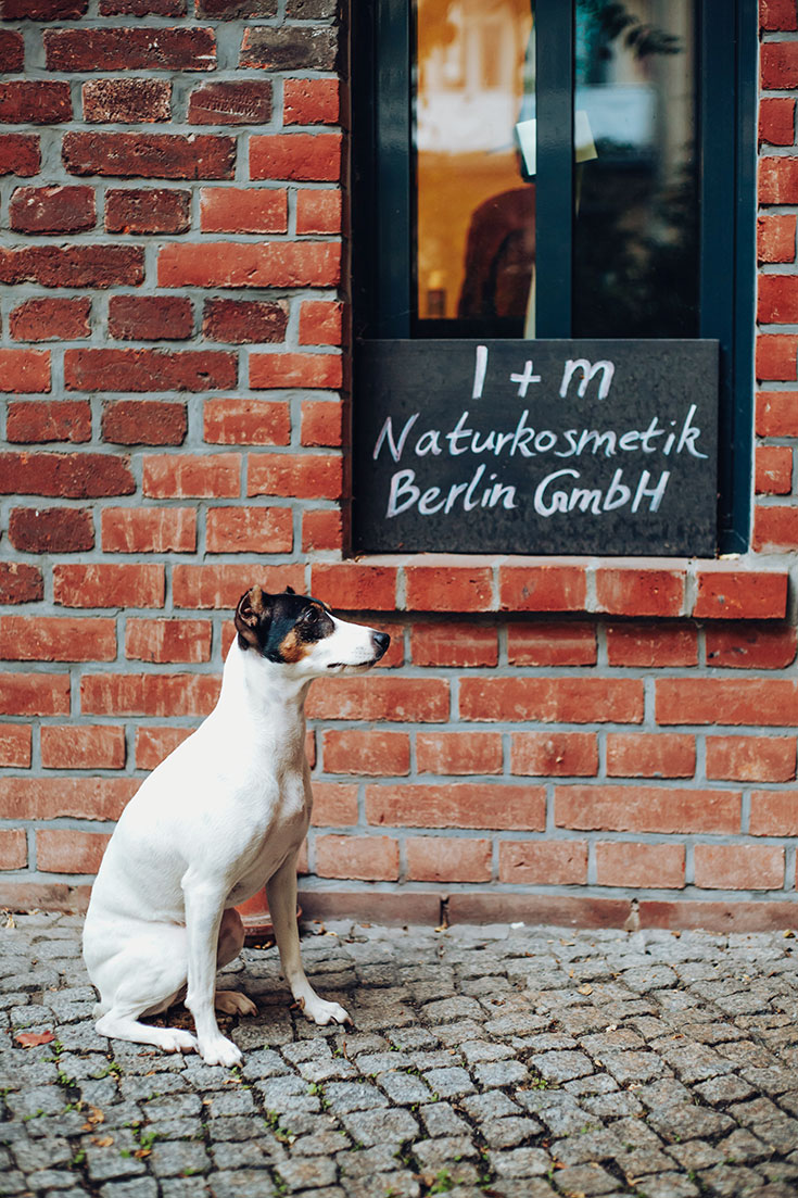 i+m Naturkosmetik – Ein Gespräch über Greenwashing, Großkonzerne und die Power von Profit