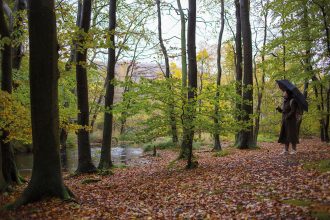 Leichtigkeit in der Klimakrise? Wie uns der Wald helfen kann. Sauber Energie, der nachhaltige Ökoenergie- und Mobilfunkanbieter, bietet Großartiges dazu an