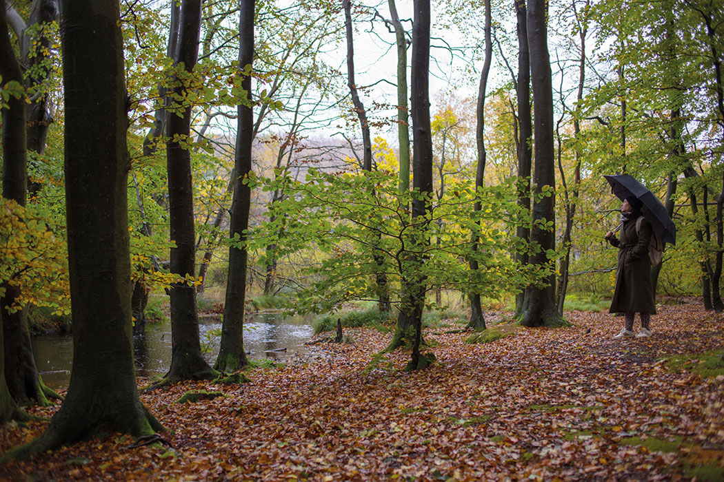 Leichtigkeit in der Klimakrise? Wie uns der Wald helfen kann. Sauber Energie, der nachhaltige Ökoenergie- und Mobilfunkanbieter, bietet Großartiges dazu an
