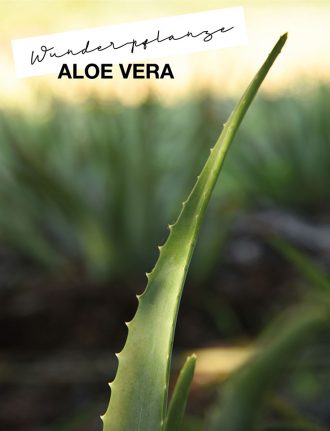 Wunderpflanze Aloe Vera – unser Naturkosmetik Tipp für den Sommer: Aloe Vera Saft, Aleo Vera Gel
