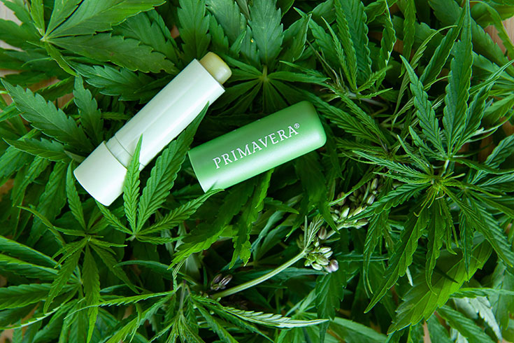 Für winterweiche Lippen – Die neuen Naturkosmetik Lip Balms von Primavera, veganer Lippenpflegestift, Naturkosmetik Lippenpflege, reichhaltige Lippenpflege, natürliche Lippenpflege, vegane Lip Balms