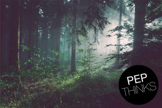 Treedom Kritik – warum wir keine Kooperation mit dem Baumpflanz-Portal und Aufforstungsprojekt eingehen wollten. Greenwashing für Grokonzerne und Global Player? Ist Bäume pflanzen, Bäume verschenken ein moderner Ablasshandel?