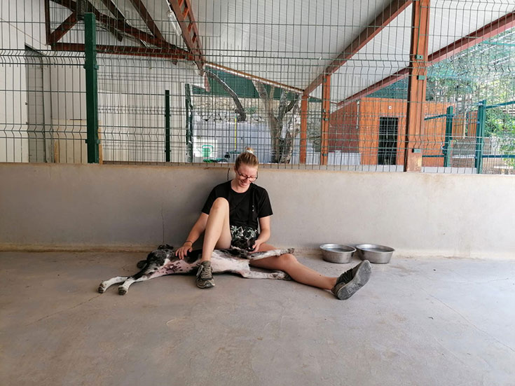 Einen Tierschutzhund adoptieren? Unsere Erfahrungen mit Hunden aus dem Ausland. Einen Tierschutzhund adoptieren – Worauf du achten solltest. Wie erkenne ich eine verantwortungsvolle Tierschutzorganisation? Unsere Empfehlungen für seriöse Tierschutzorganisationen im Ausland: Animal Rescue Algarve und Freundeskreis BrunoPet können wir empfehlen. 